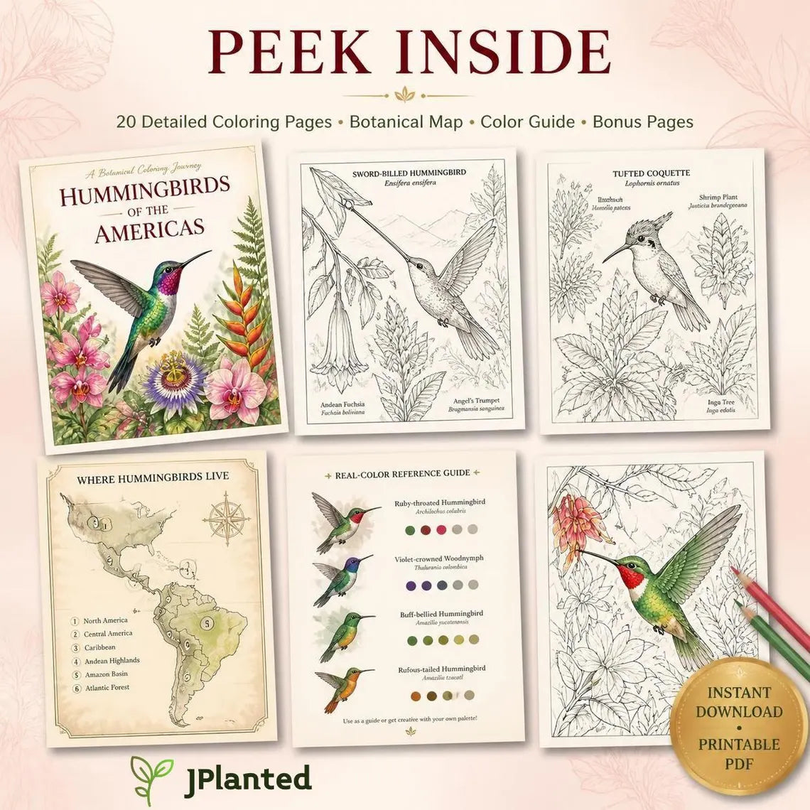 Hummingbirds of the Americas Coloring Book | 20 Botanical Coloring Pages PDF | Adults Edition | Tropical Birds & Flowers | Instant Download