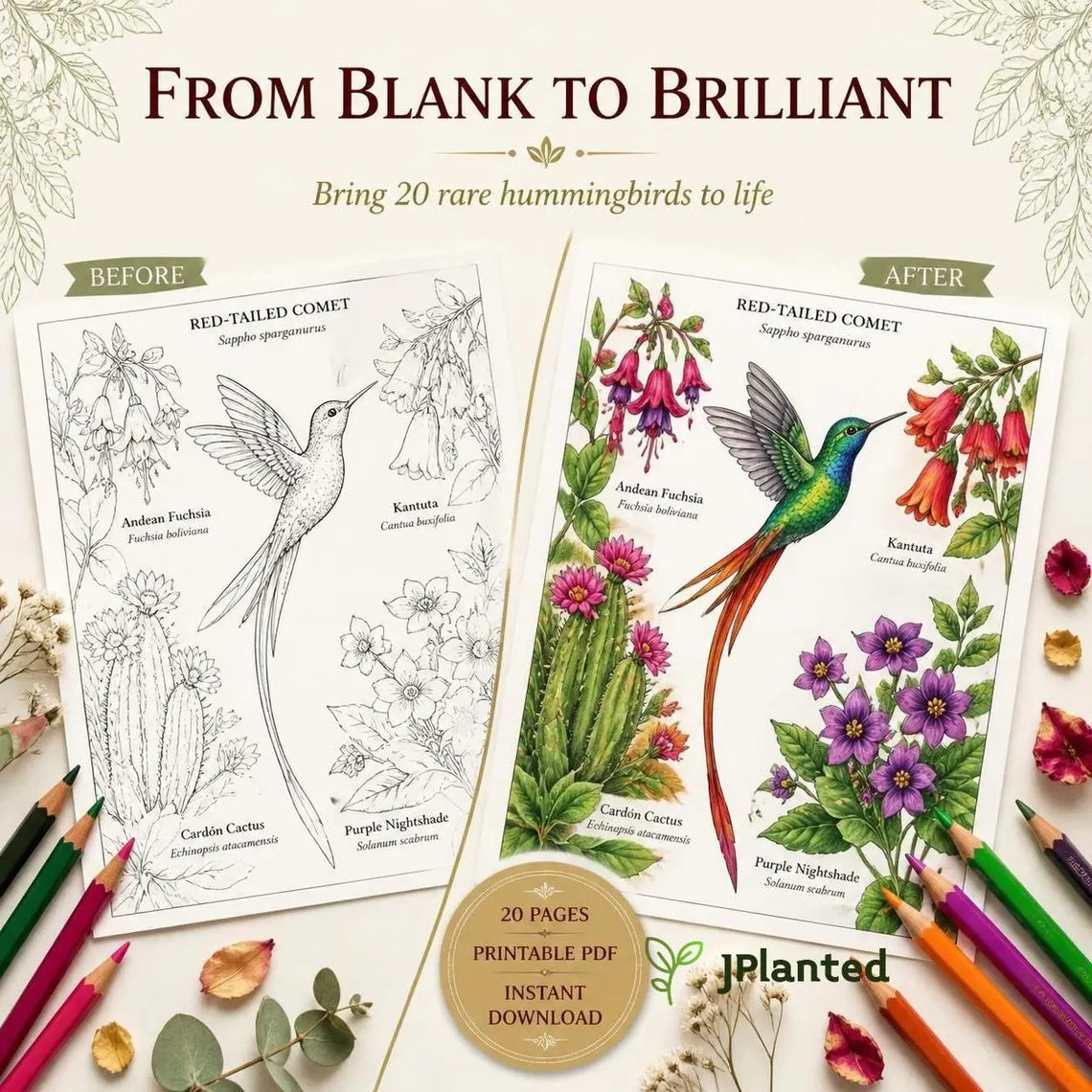Hummingbirds of the Americas Coloring Book | 20 Botanical Coloring Pages PDF | Adults Edition | Tropical Birds & Flowers | Instant Download