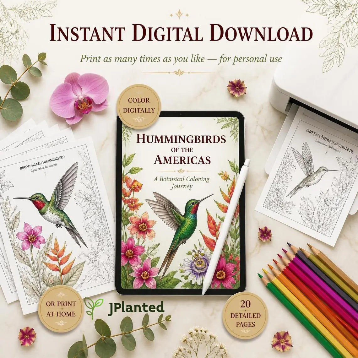 Hummingbirds of the Americas Coloring Book | 20 Botanical Coloring Pages PDF | Adults Edition | Tropical Birds & Flowers | Instant Download